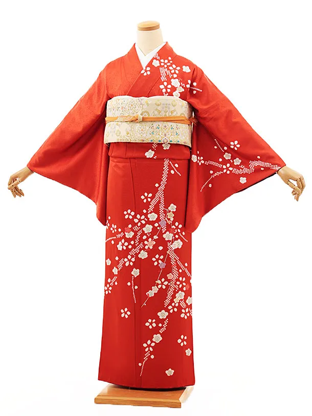 訪問着t1359 朱赤地 梅