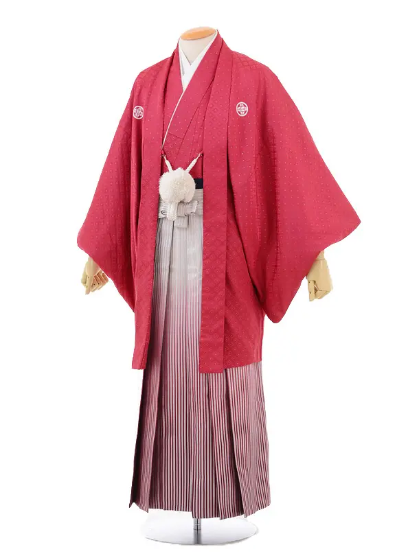 卒業式袴男子 成人式卒業式袴ﾚﾝﾀﾙ(男)D041ｴﾝｼﾞ色刺子紋付 | 着物レンタルの