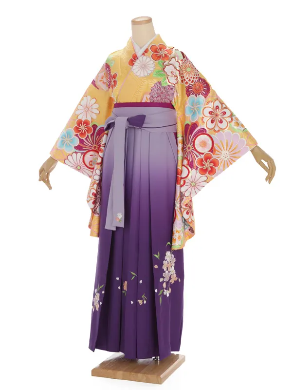 卒業袴レンタルh267 黄色 菊 x ﾊﾟｰﾌﾟﾙ ぼかし袴 | 着物レンタル