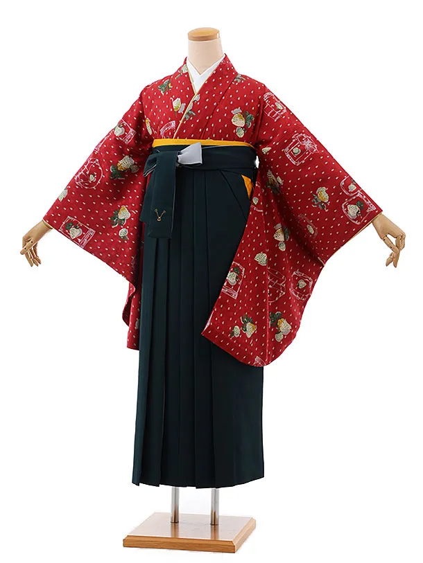 卒業式袴レンタル1200 モダンアンテナ 星間バラ赤xヒワ | 着物