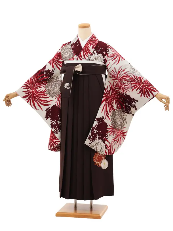 卒業袴T146　紅一点 アイボリー赤乱菊×ブラウン