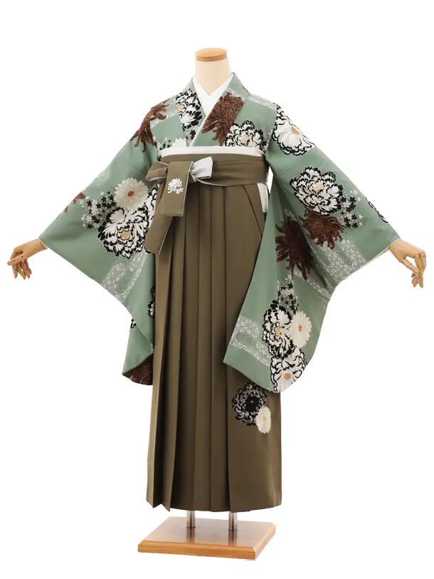 卒業袴T157　紅一点 ペールグリーン菊牡丹×モスグリーン