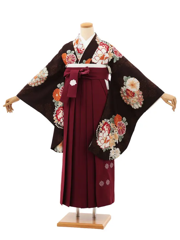 卒業袴T208 Kansai 黒茶花×ボルドー