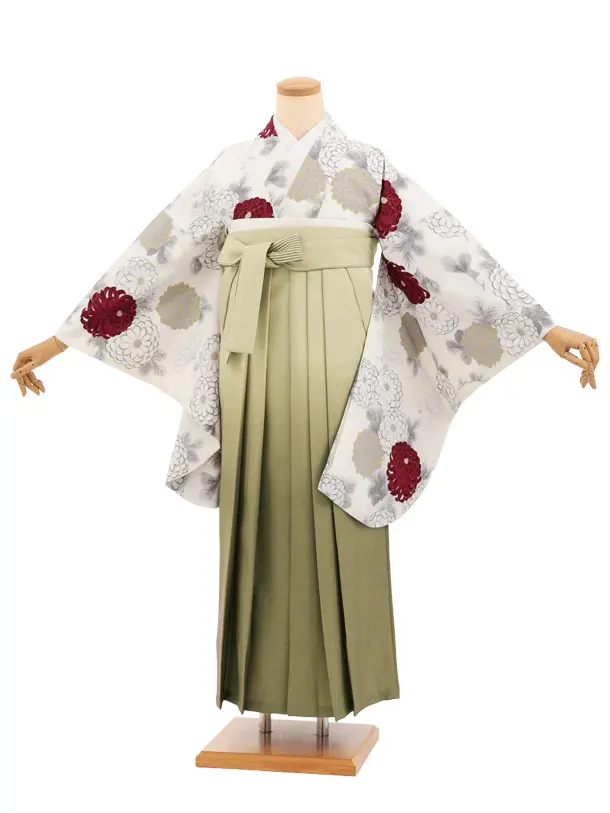 先生,教員向け袴レンタルT264クリーム菊×グリーンぼかし　