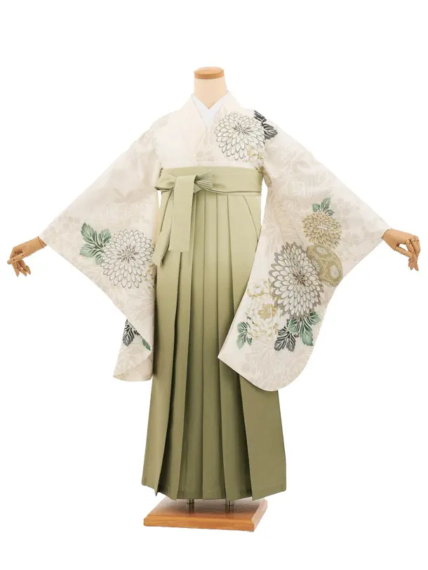 卒業袴T282クリームまりに菊×グリーンぼかし　