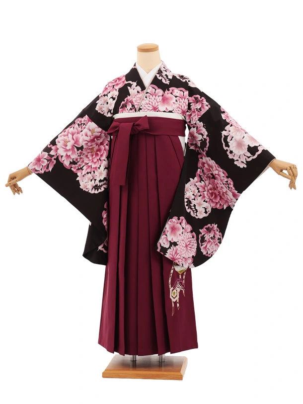 先生,教員向け袴レンタルT292黒地雪輪花×ワイン　　