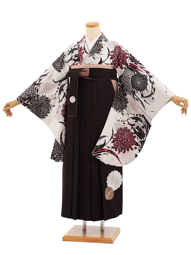 卒業式袴T468 JAPAN STYLE アイボリー菊と羽 × ブラウン