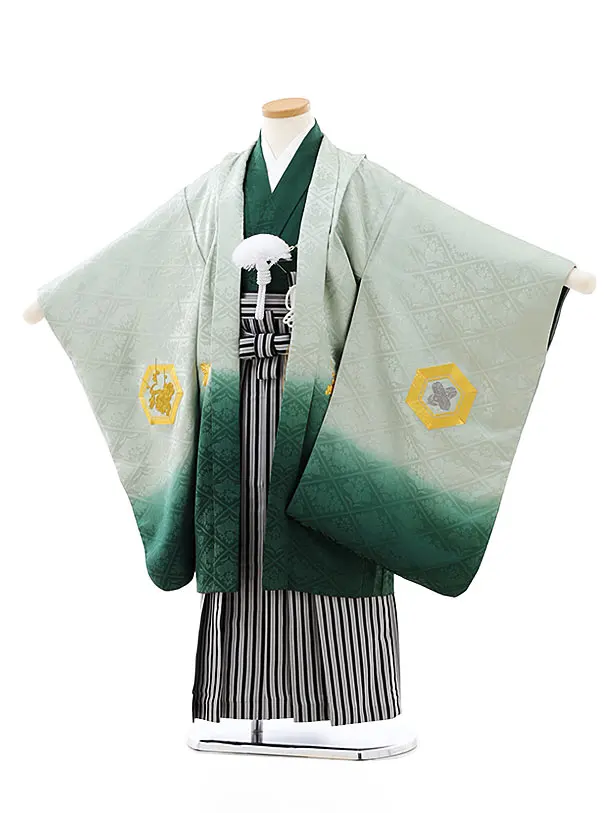 七五三レンタル(5歳男袴)(高級正絹)5816グリーンぼかし刺繍亀甲x