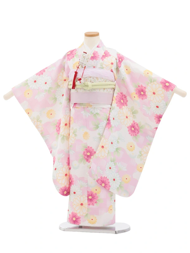 七五三(5歳女児)0695 オフ白 ピンク 小菊 | 着物レンタルの京都かしい