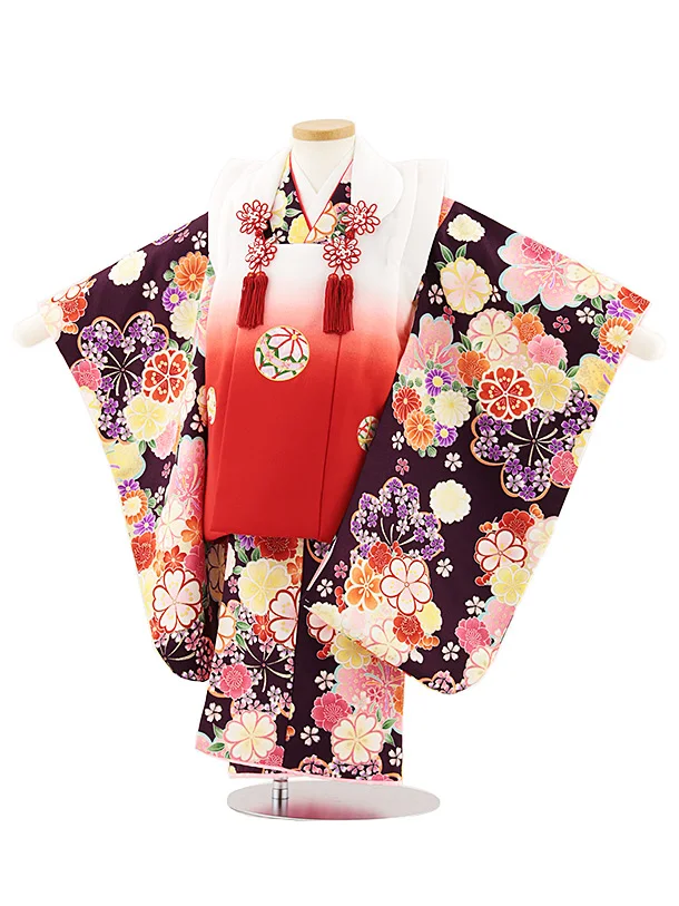 七五三レンタル(3歳女児被布)4839 白赤ぼかし鞠×紫桜菊
