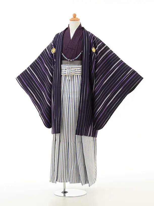 卒業式☆紋付袴 小学生男子 小学校 卒業式 男の子 袴 Z033 ﾊﾟｰﾌﾟﾙ しゃれ紋×ｸﾞﾚｰ袴 | 着物