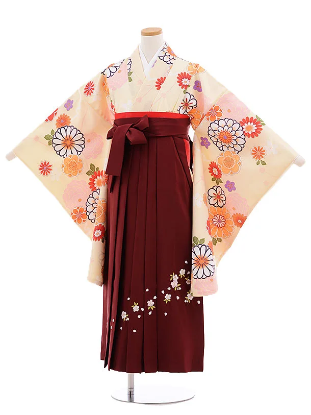 410aj89■十三参り 卒業式 初釜 女児 着物&六通袋帯 菊 梅■美品 楽天市場】【レンタル】【JAPANSTYLE×中村里砂 袴 17点セット
