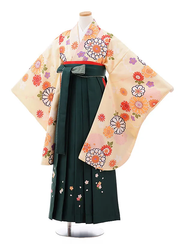 410aj89■十三参り 卒業式 初釜 女児 着物&六通袋帯 菊 梅■美品 SOUBIEN 【予約】袴セット 卒業式 小学生 女の子 ジュニア 販売