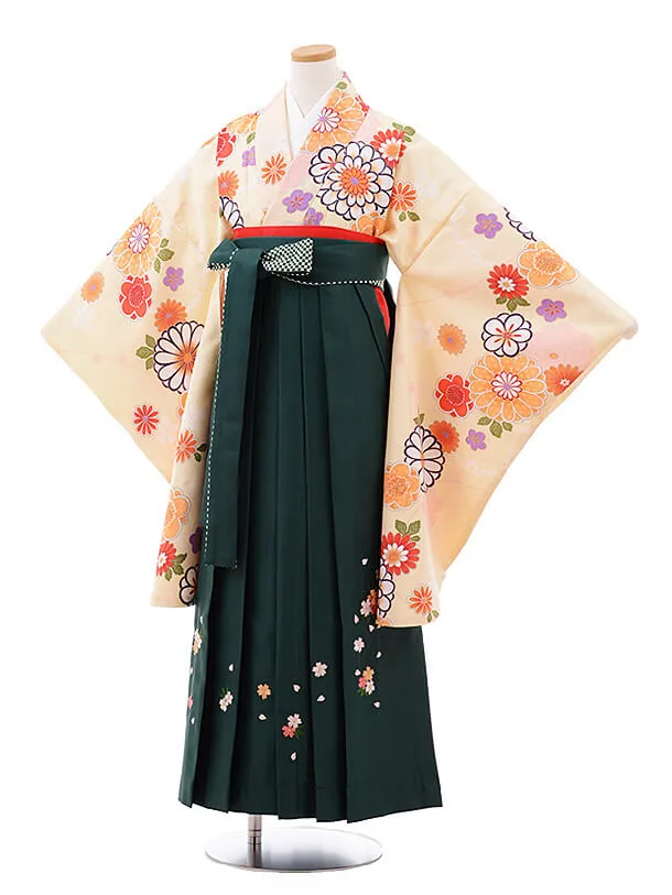 小学校卒業式袴レンタル（女の子）9887ｸﾘｰﾑ色菊梅×ｸﾞﾘｰﾝ袴