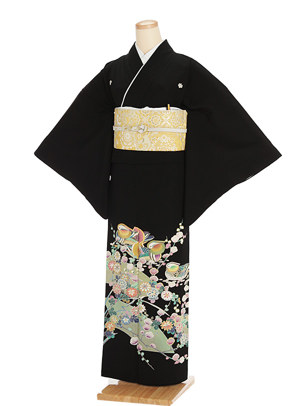 留袖 レンタル 5316梅におしどり | 着物レンタルの京都かしいしょう