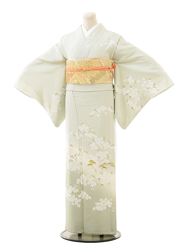夏訪問着 単衣 t0518 ｸﾞﾘｰﾝ地桜松（正絹） | 着物レンタルの京都かしい 
