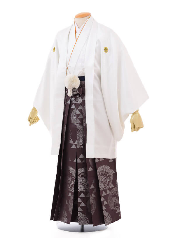 成人式卒業式袴ﾚﾝﾀﾙ(男)D031白紋付×紫龍袴