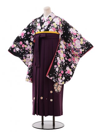 卒業式袴ﾚﾝﾀﾙ h237 黒地 桜×ﾊﾟｰﾌﾟﾙ袴 | 着物レンタルの京都かしい 