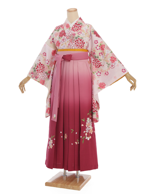 卒業袴h256 薄ﾋﾟﾝｸ ぼたん x ぼかし袴 | 着物レンタルの京都かしいしょう