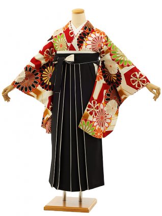卒業袴レンタルh1051 ジャパンスタイル赤白菊×黒袴