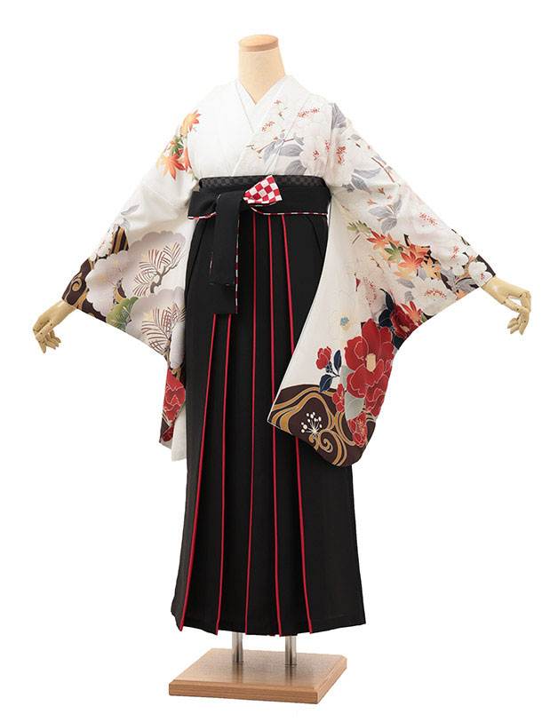 卒業袴1869 白八重桜椿×黒赤