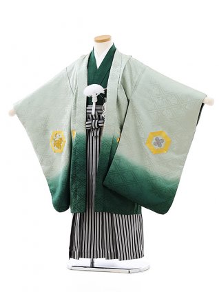 七五三レンタル(5歳男袴)(高級正絹)5816グリーンぼかし刺繍亀甲x黒白縞袴