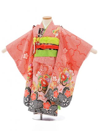 3歳女の子（帯） | 着物レンタルの京都かしいしょう