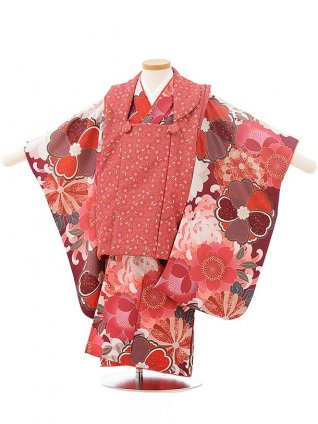 七五三レンタル(3歳女児被布)3793 KAGURAﾚｯﾄﾞ×菊に桜 | 着物