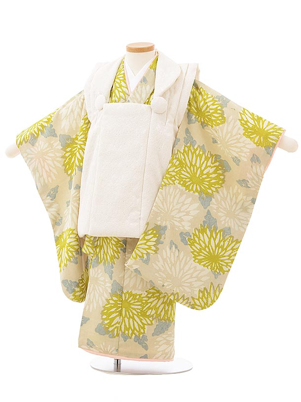 七五三レンタル(3歳女児被布)3818ｵﾌﾎﾜｲﾄﾚｰｽ調×ﾍﾞｰｼﾞｭに緑菊 | 着物レンタルの京都かしいしょう