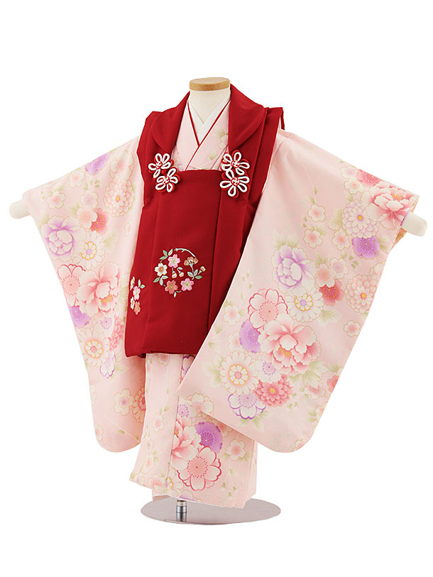 七五三レンタル(3歳女児被布)4670 赤刺繍桜×ピンク菊桜牡丹