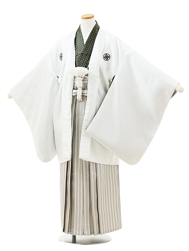 小学生卒業袴ﾚﾝﾀﾙZ299　白紋付×白シルバー縞