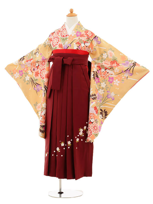 小学校卒業式袴レンタル（女の子）9674ｸﾘｰﾑ色菊梅×ｴﾝｼﾞ袴 | 着物レンタルの京都かしいしょう