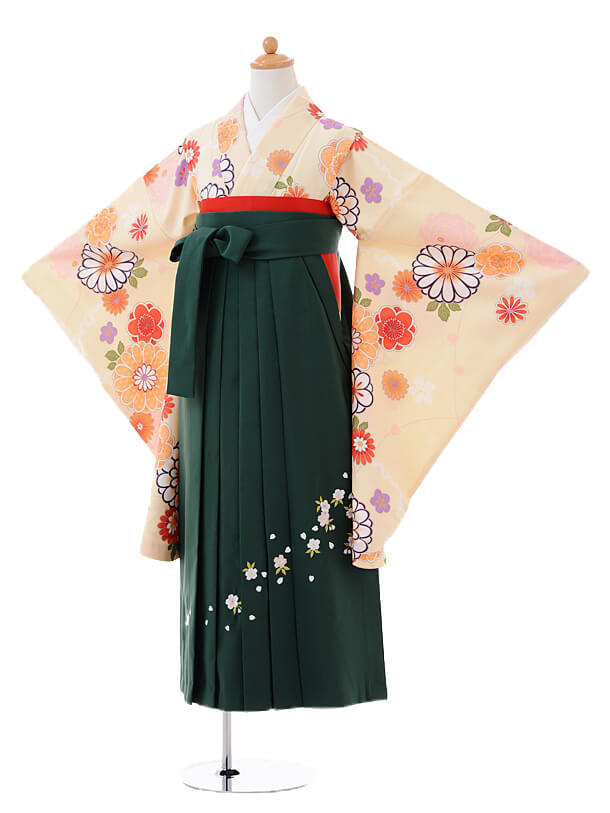 小学生卒業式袴レンタル（女の子）9398ｸﾘｰﾑ色花×緑袴 | 着物レンタルの京都かしいしょう
