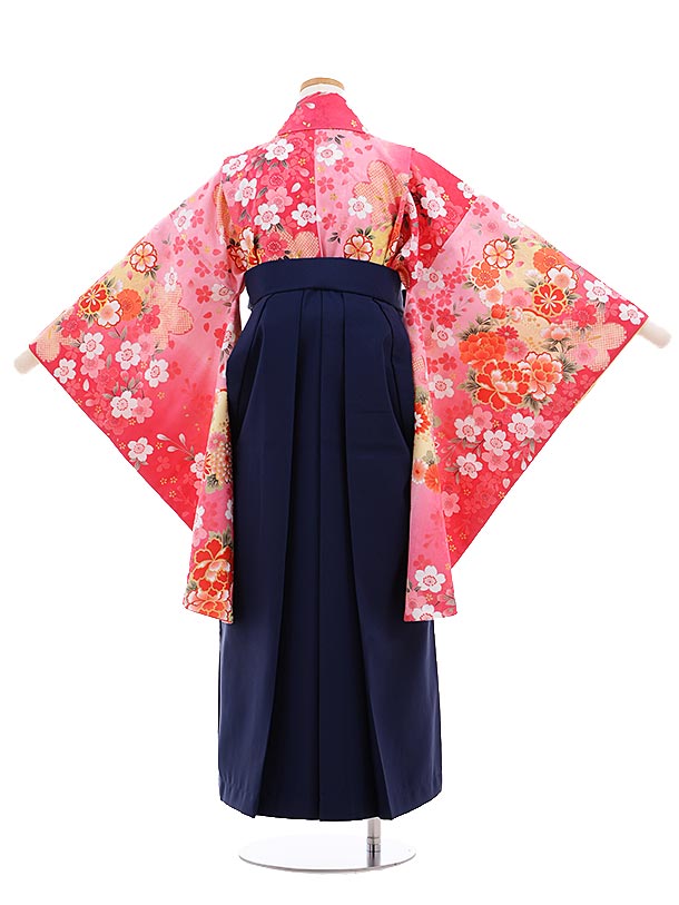小学校卒業式袴レンタル（女の子）9643ﾋﾟﾝｸぼかしぼたん×紺袴 | 着物 