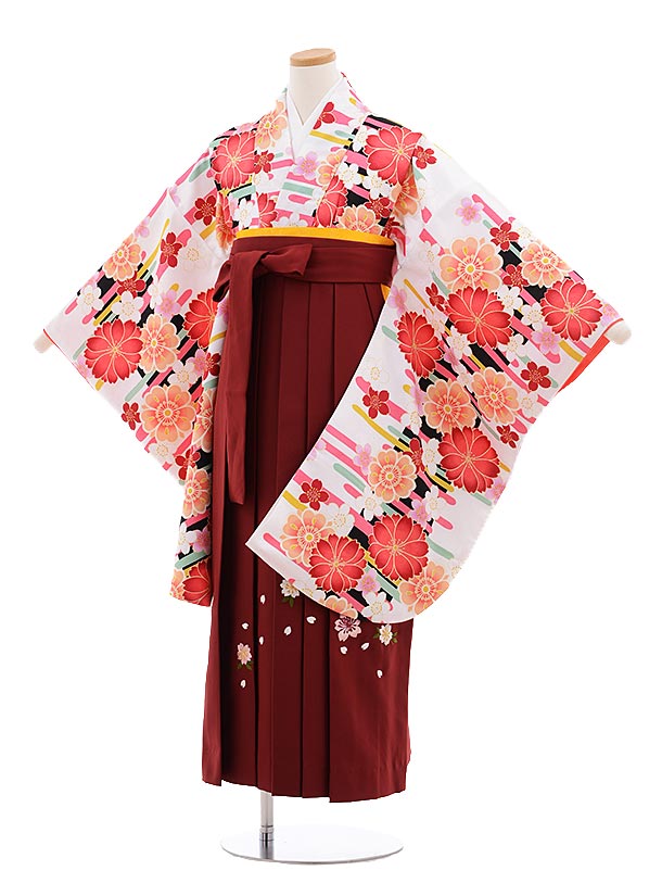 小学校卒業式袴レンタル（女の子）9647白地桜×ｴﾝｼﾞ桜袴