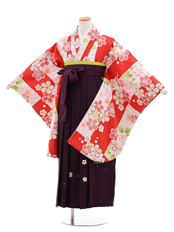小学生卒業式袴レンタル（女の子）9649白赤梅×ﾊﾟｰﾌﾟﾙ丸桜袴