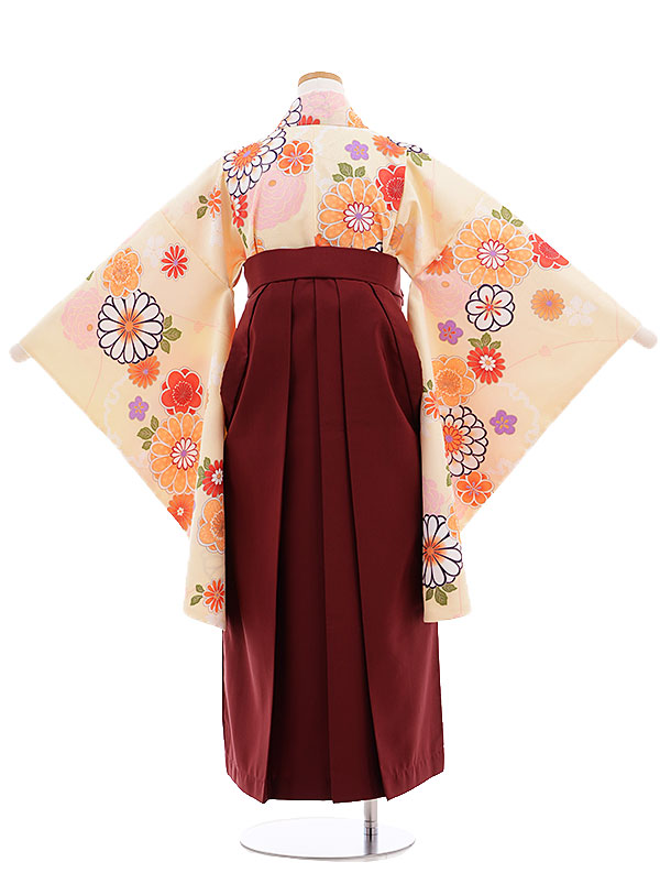 小学校卒業式袴レンタル（女の子）9674ｸﾘｰﾑ色菊梅×ｴﾝｼﾞ袴 | 着物レンタルの京都かしいしょう