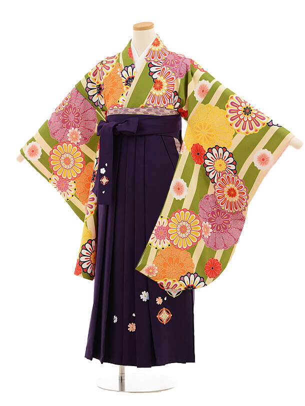 小学校卒業式袴レンタル(女の子)9812 ｸﾘｰﾑｸﾞﾘｰﾝ縞菊×紫袴