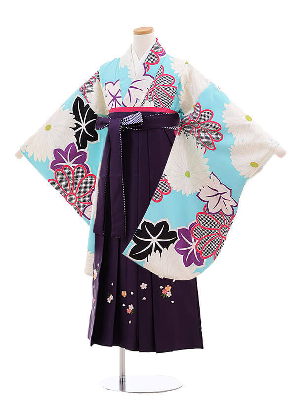 小学校卒業式袴レンタル（女の子）9873水色菊×ﾊﾟｰﾌﾟﾙ袴