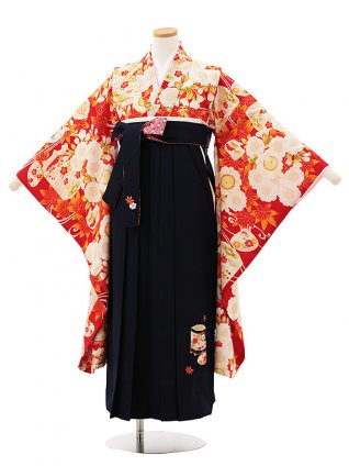 1ARZ365000