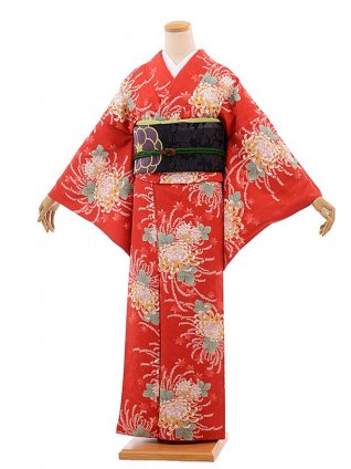 小紋ﾚﾝﾀﾙ479 赤菊(化繊) | 着物レンタルの京都かしいしょう