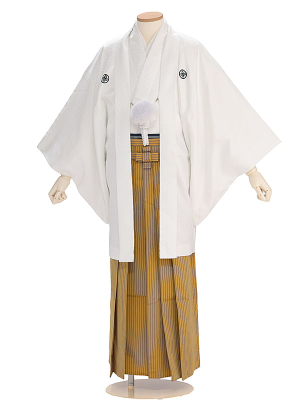 卒業式成人式袴男ﾚﾝﾀﾙ049*6/白/黄金縦縞袴
