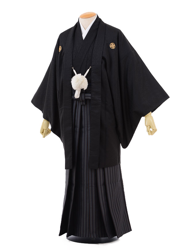 卒業式成人式袴レンタル 175 黒金刺繍絆／茶×ブルーグレー縞袴