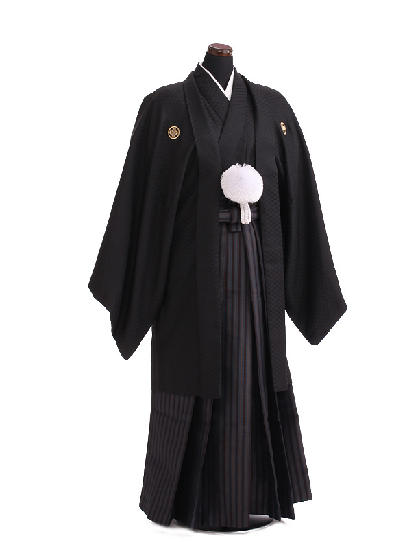 卒業式成人式袴ﾚﾝﾀﾙ193黒紋付／茶×ブルーグレー縞袴