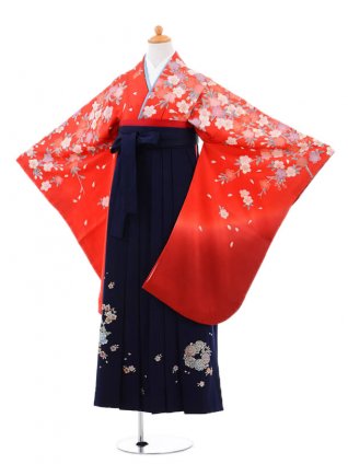 小学生卒業式袴（女の子）レンタルC036赤桜