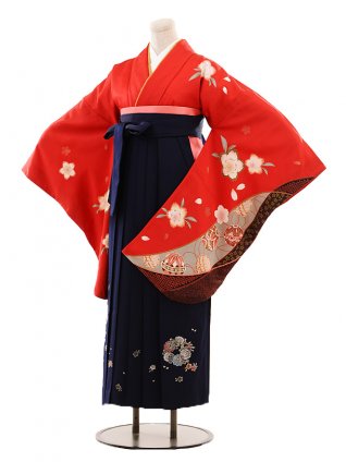 小学生卒業式袴女児C088赤桜とまり×紺袴